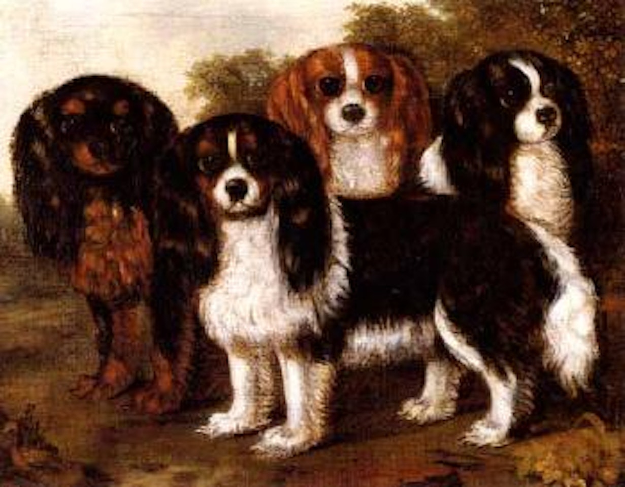 Four King Charles spaniels by English School
