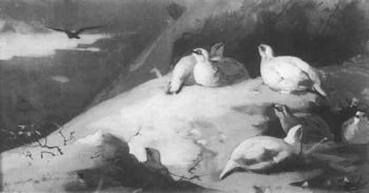 The approach of the foe, Ptarmigan and Eagle by Archibald Thorburn