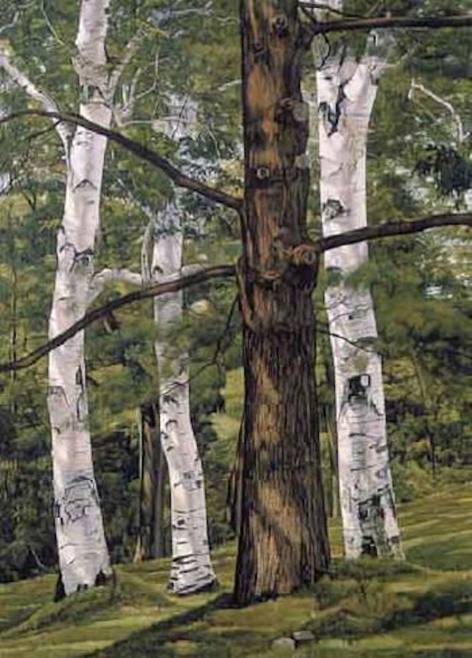 Tree portraits by Luigi Lucioni