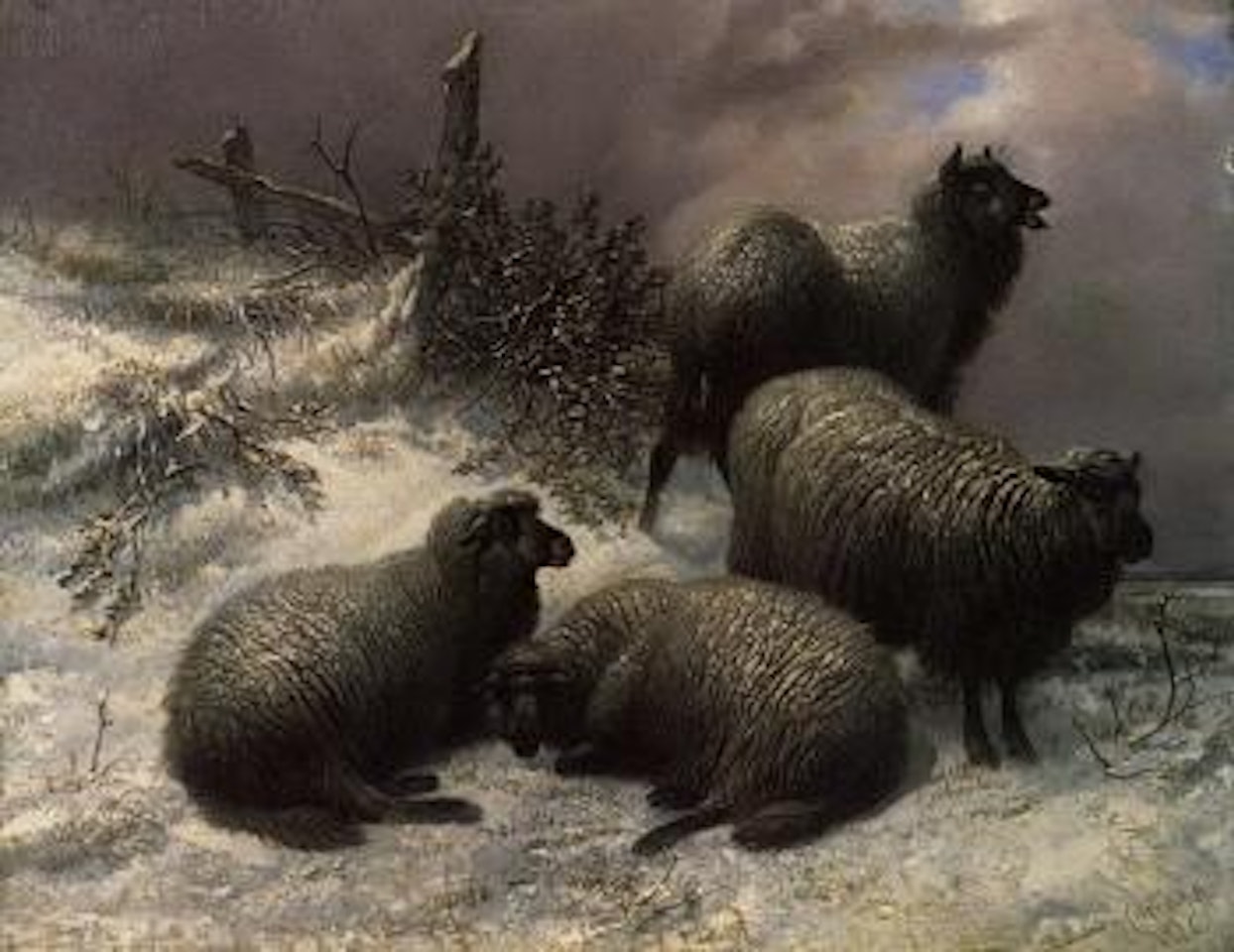 Sheep in winter by Thomas Sidney Cooper