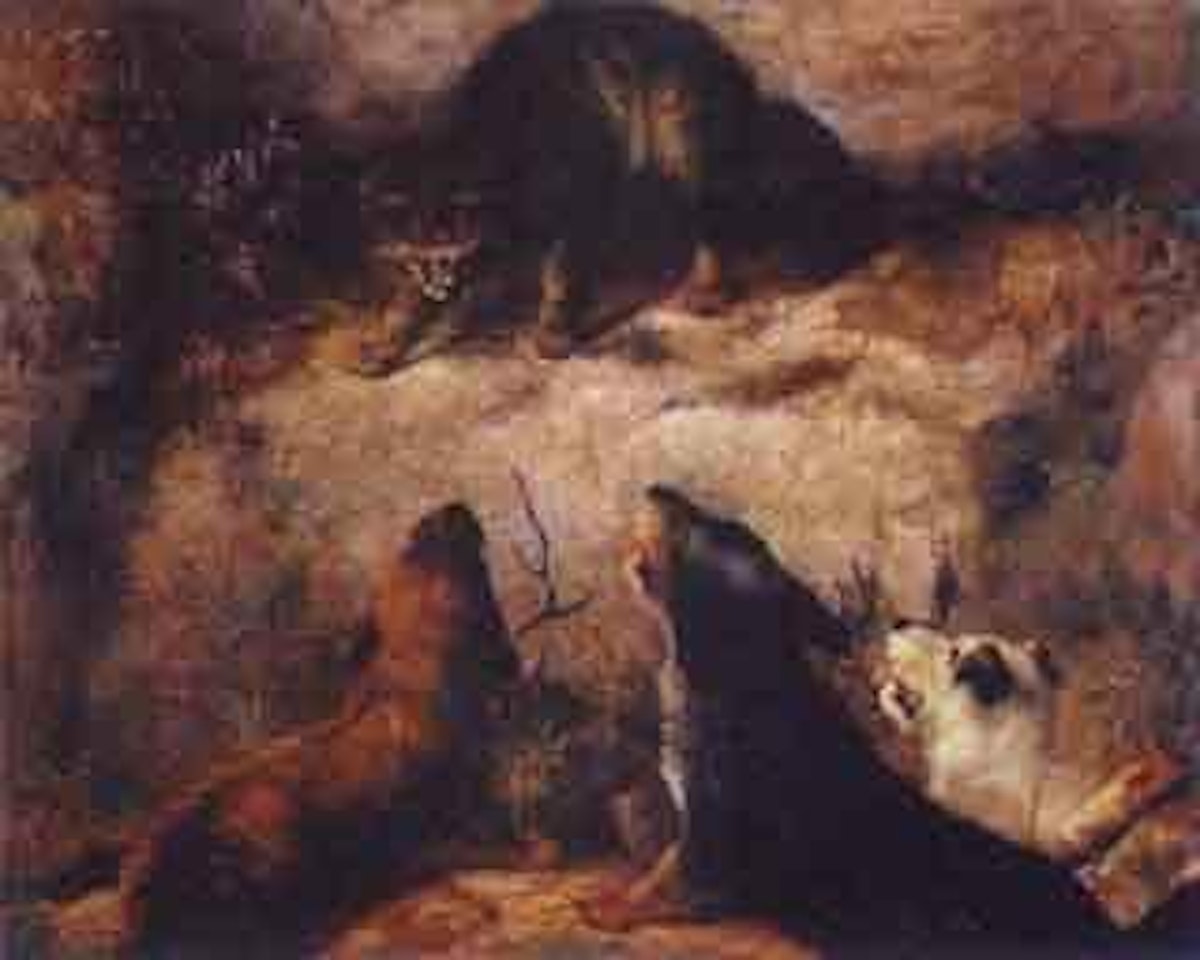 Cornered by Henriette Ronner-Knip