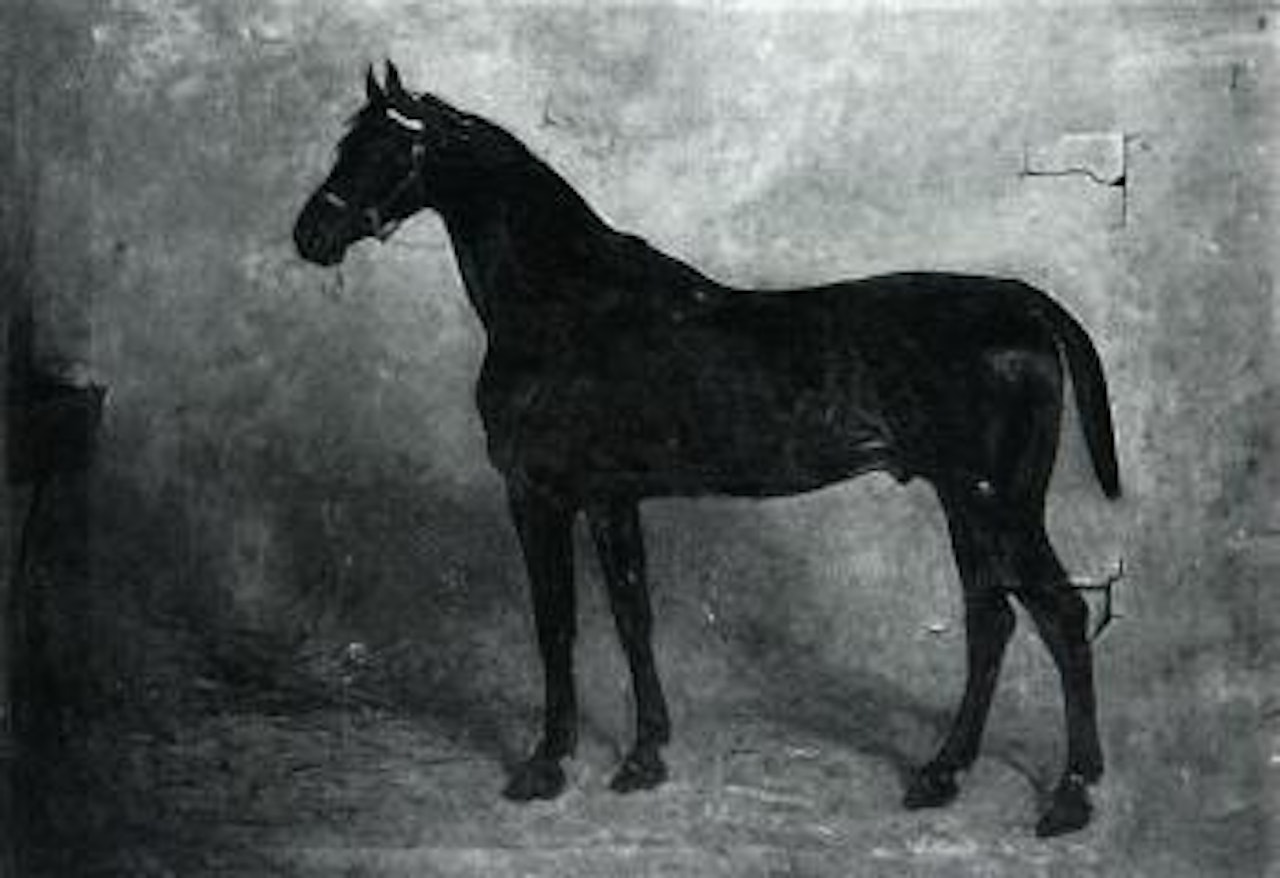 A dark bay hunter in a stable by John Emms