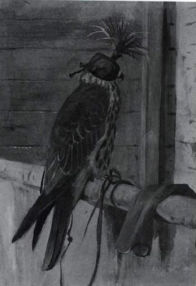 Hooded Falcon by Archibald Thorburn