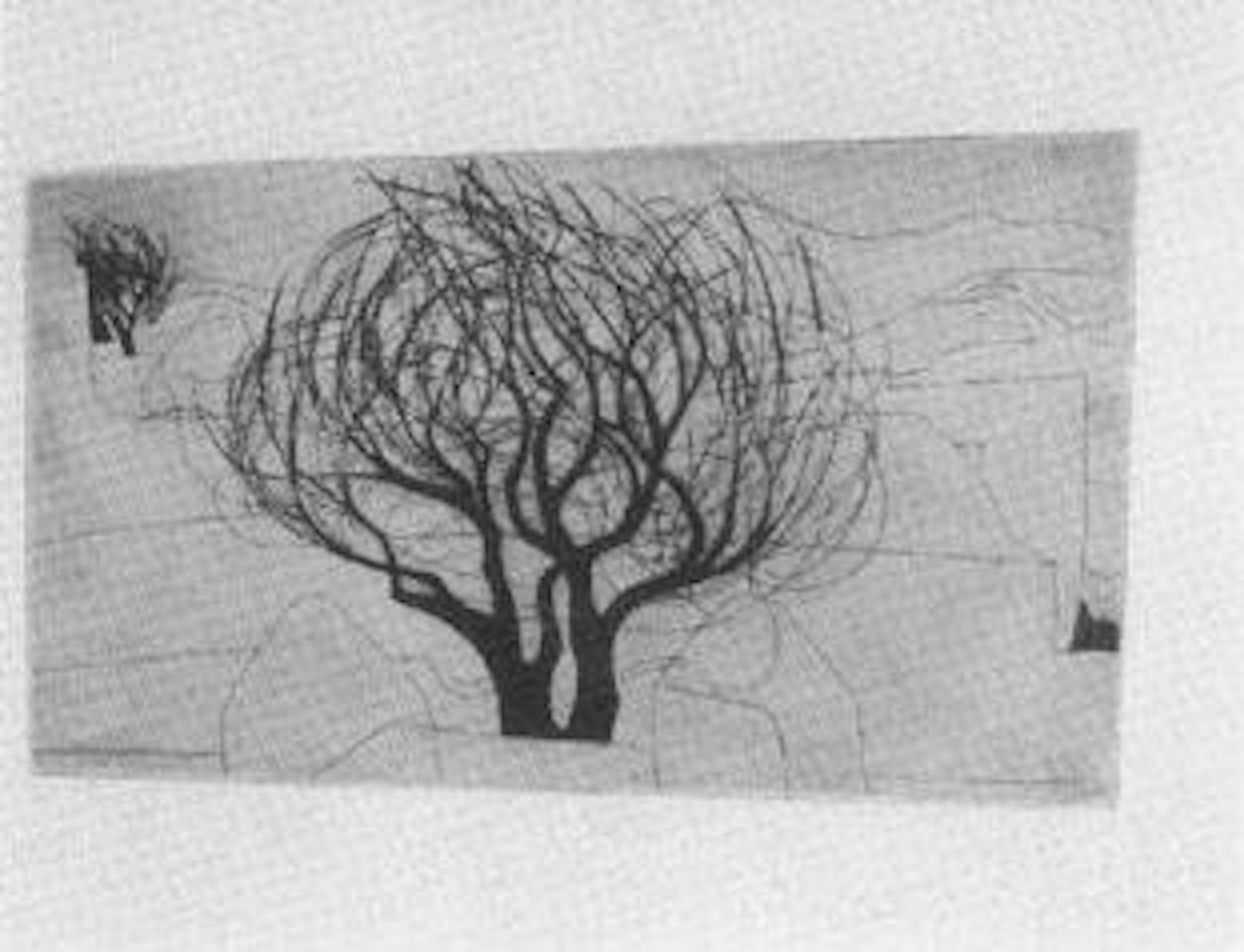 Paros tree by Ben Nicholson, O.M.