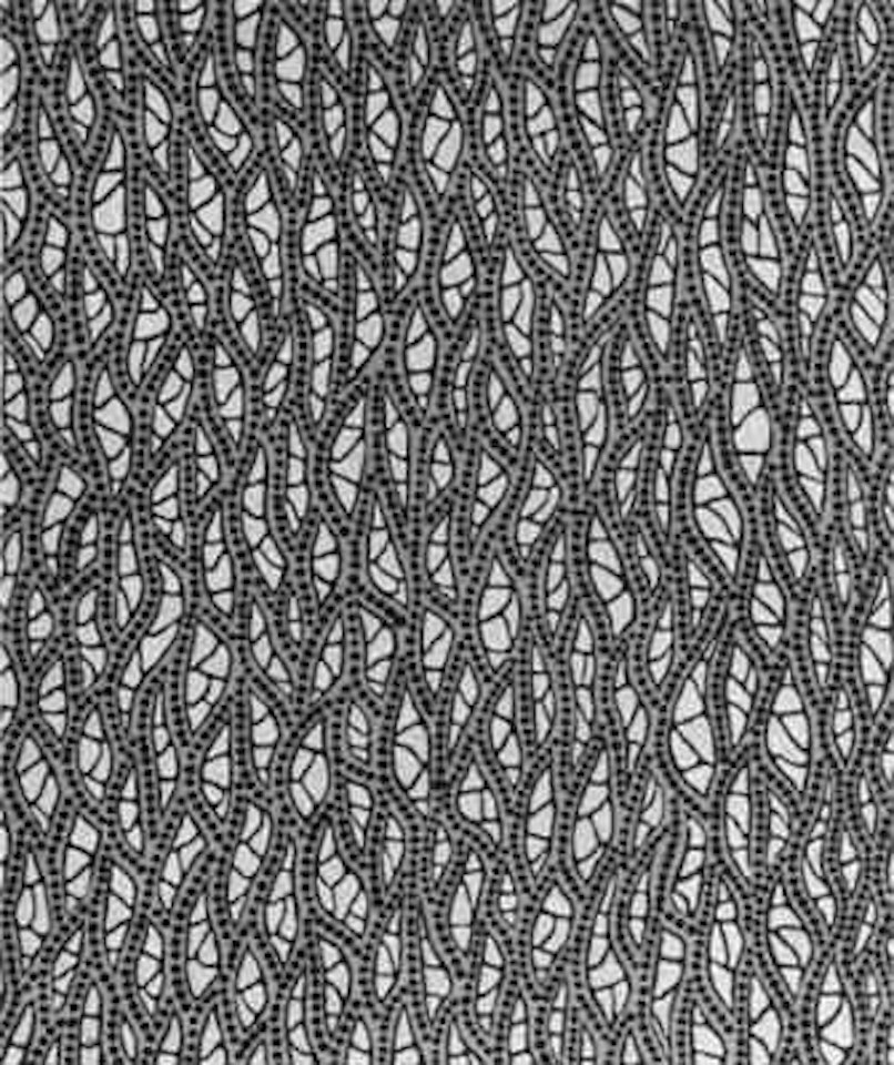 Untitled by Yayoi Kusama