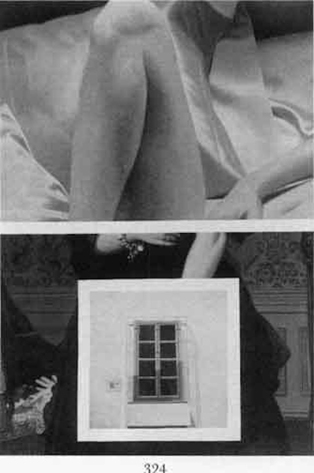 Playboy nude, Mme Ines Moitessier, Marcel Duchamp, window by Richard Pettibone