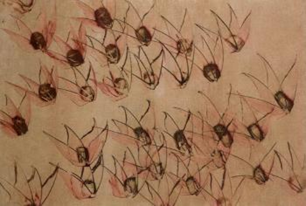 Paradise garden I by Sidney Nolan