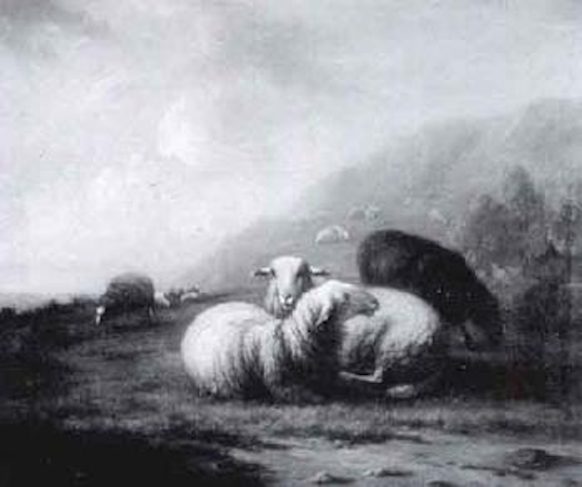 In the meadows by Eugène Joseph Verboeckhoven