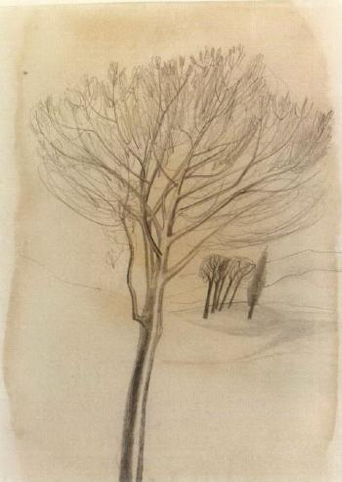 Trees, Tuscany by Ben Nicholson, O.M.