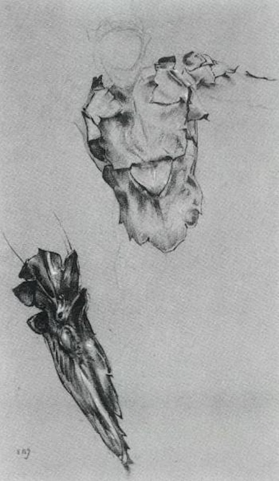 Study of Armour for figure of Perseus by Edward Coley Burne-Jones