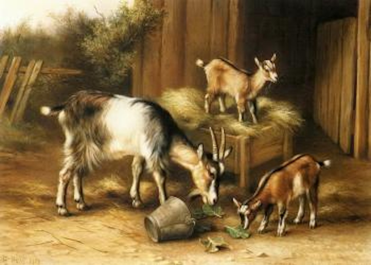 Goats outside stable by Edgar Hunt