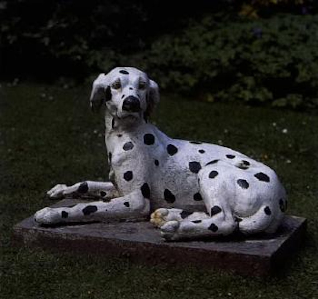 Reclining dalmation dog by French School