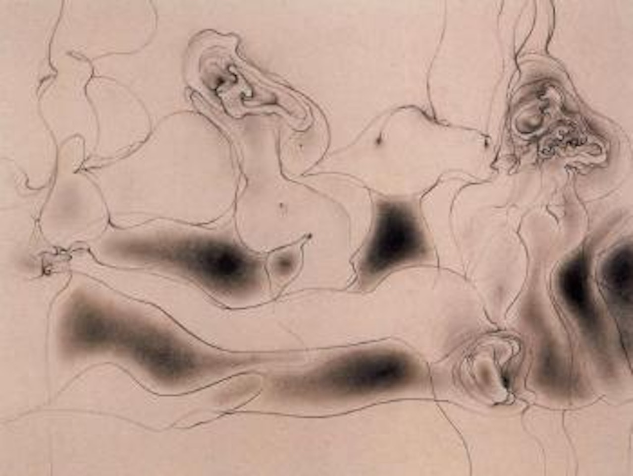Nus by Hans Bellmer