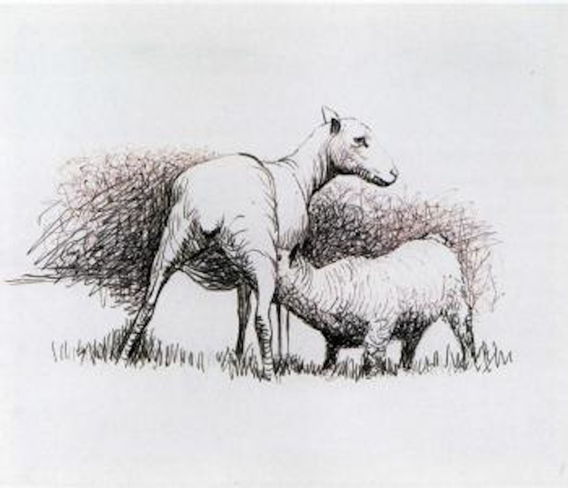 Page 48 from Sheep sketchbook by Henry Moore