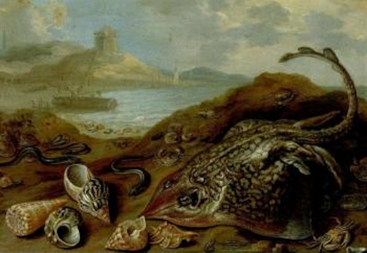 Beach scene with still life of various fish by Jan Van Kessel The Elder