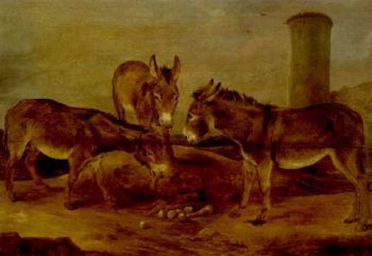 Study of three donkeys by Peter Paul Rubens