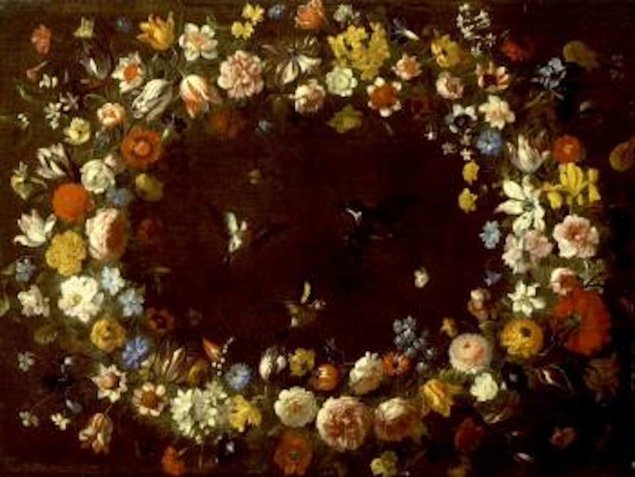 Garland of flowers with goldfinch, kingfisher and butterfly by Pier Francesco Cittadini
