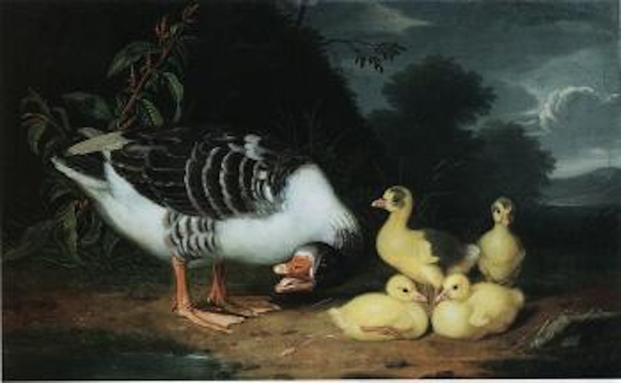 Grey goose and her goslings by water by German School