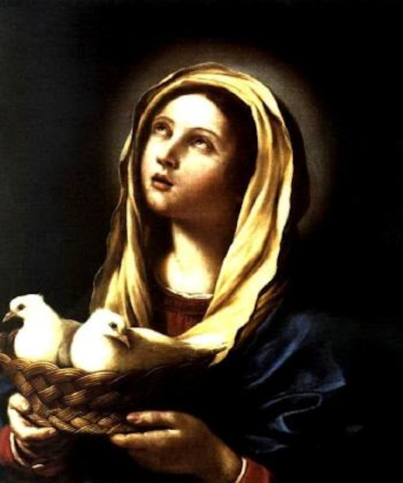 The Madonna of the White Doves by Guercino