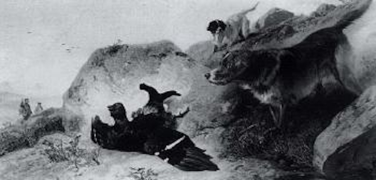 Retrieving the game by Richard Ansdell