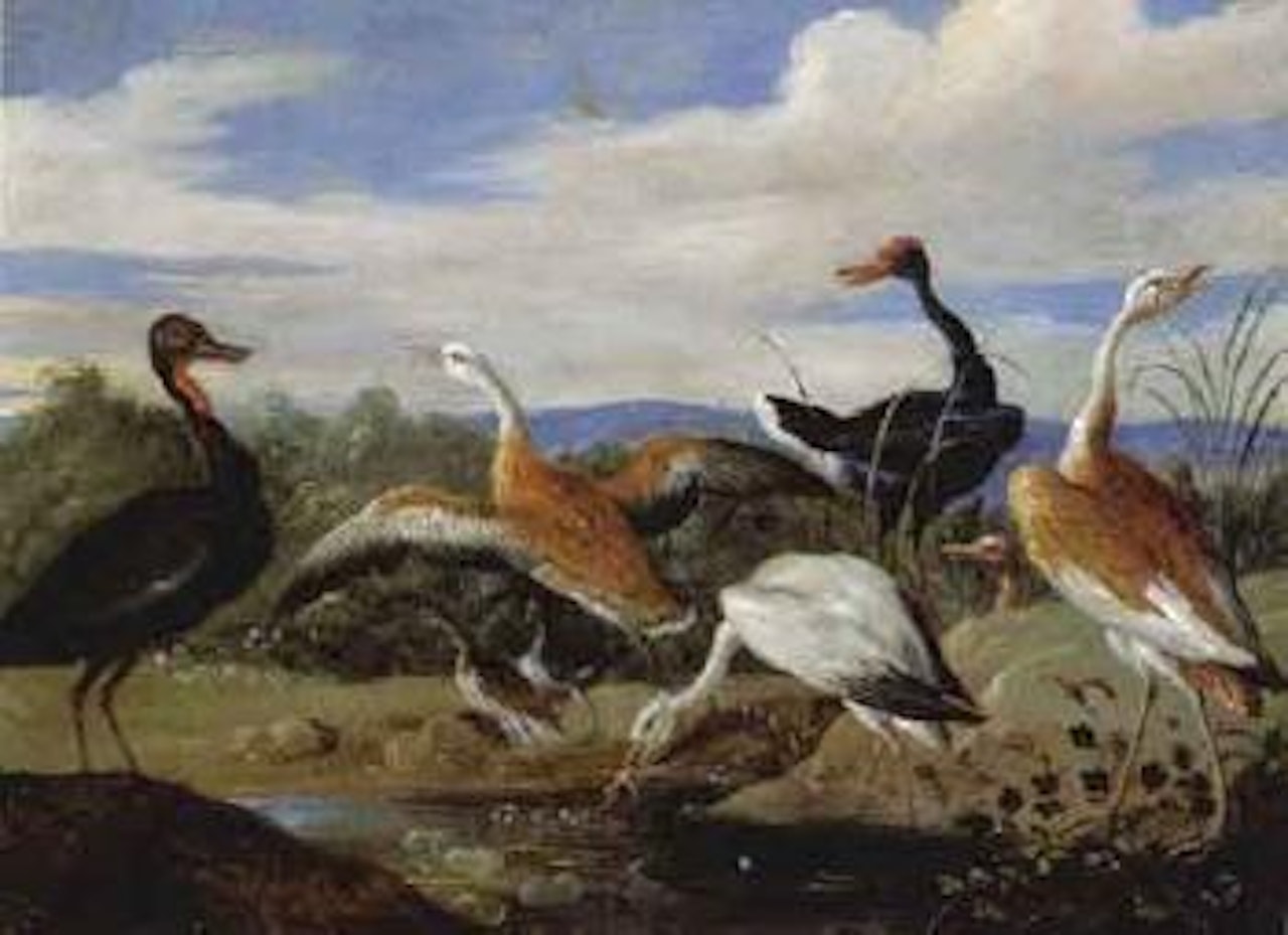 Eight waterfowl in pond by Jan Van Kessel The Elder