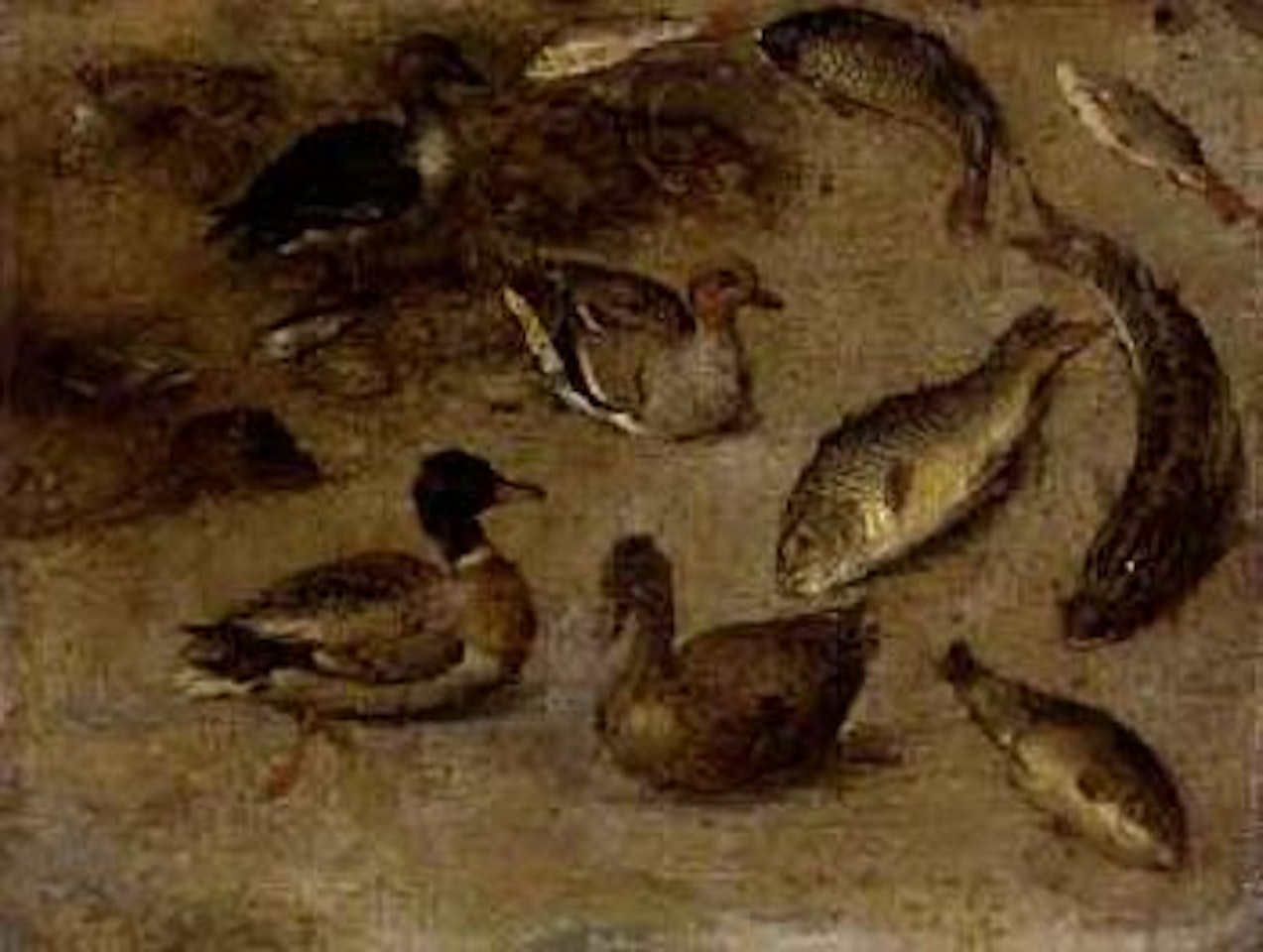 Study of fishes, ducks and shells by Jan Brueghel the Younger