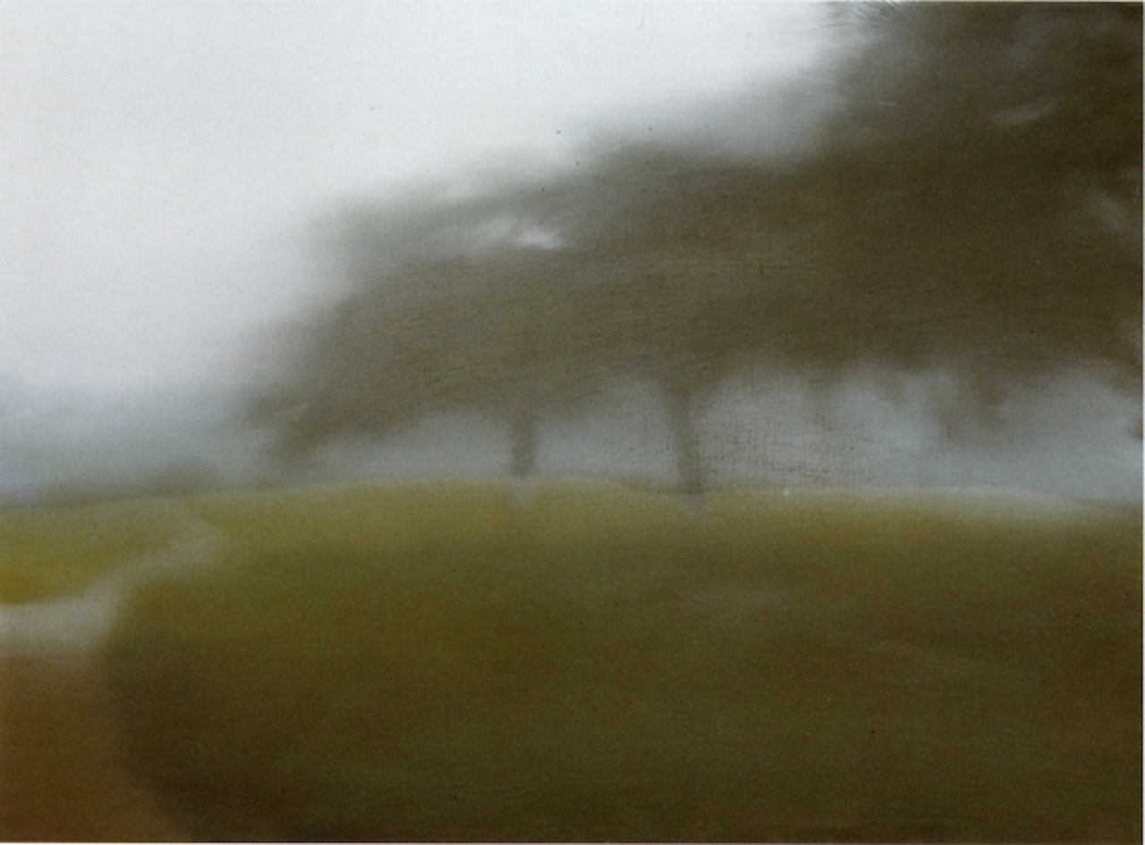 Apfelbaume - Skizze by Gerhard Richter