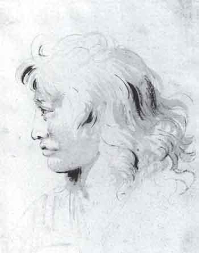 Head of youth, in profile to left by Giovanni Battista Tiepolo