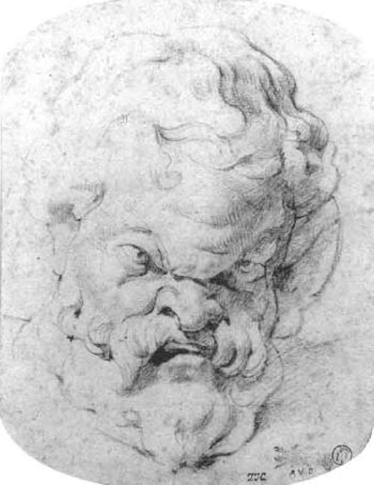 Head of Silenus by Peter Paul Rubens