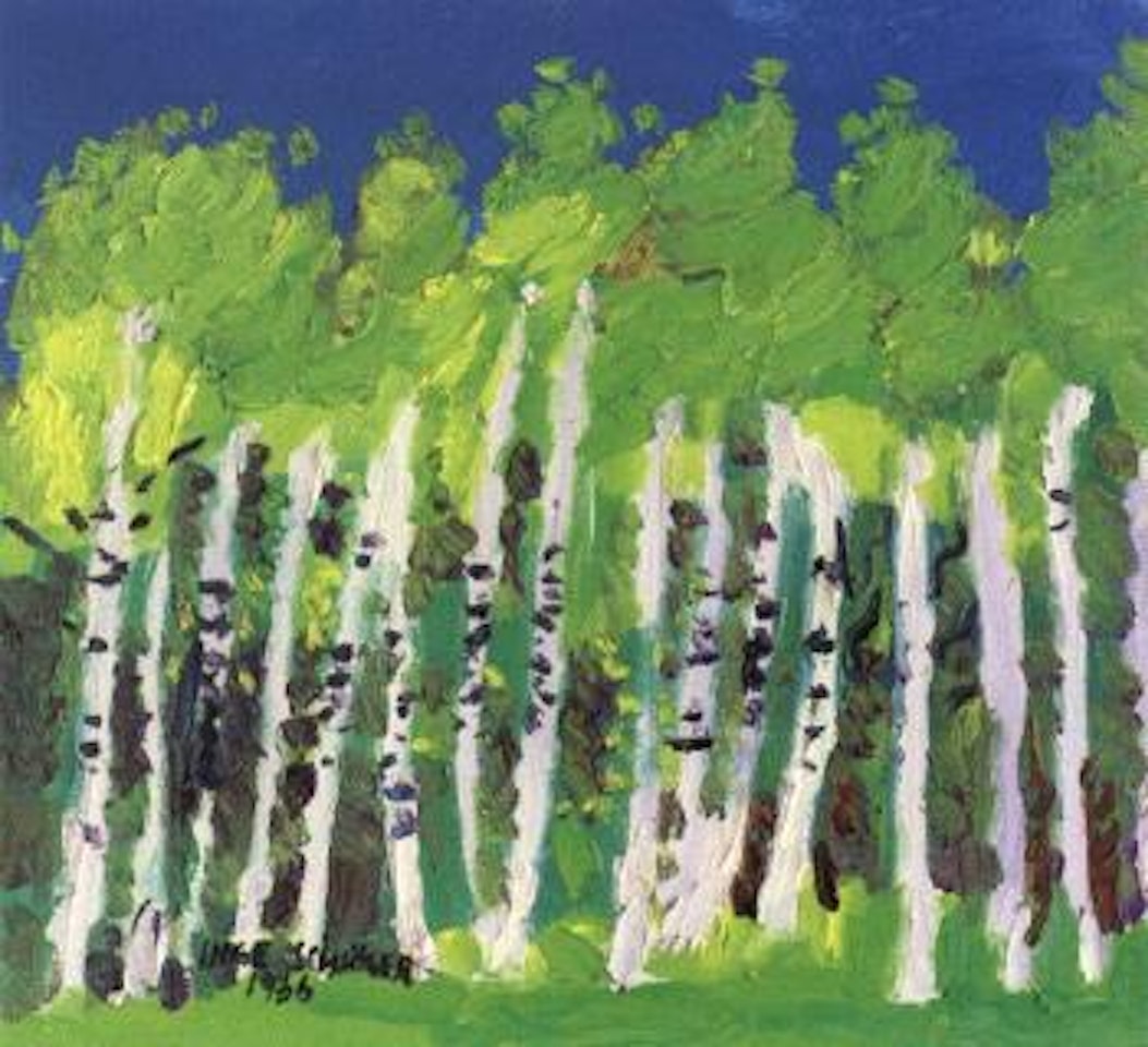 Silver birches in spring sunshine by Inge Schiöler