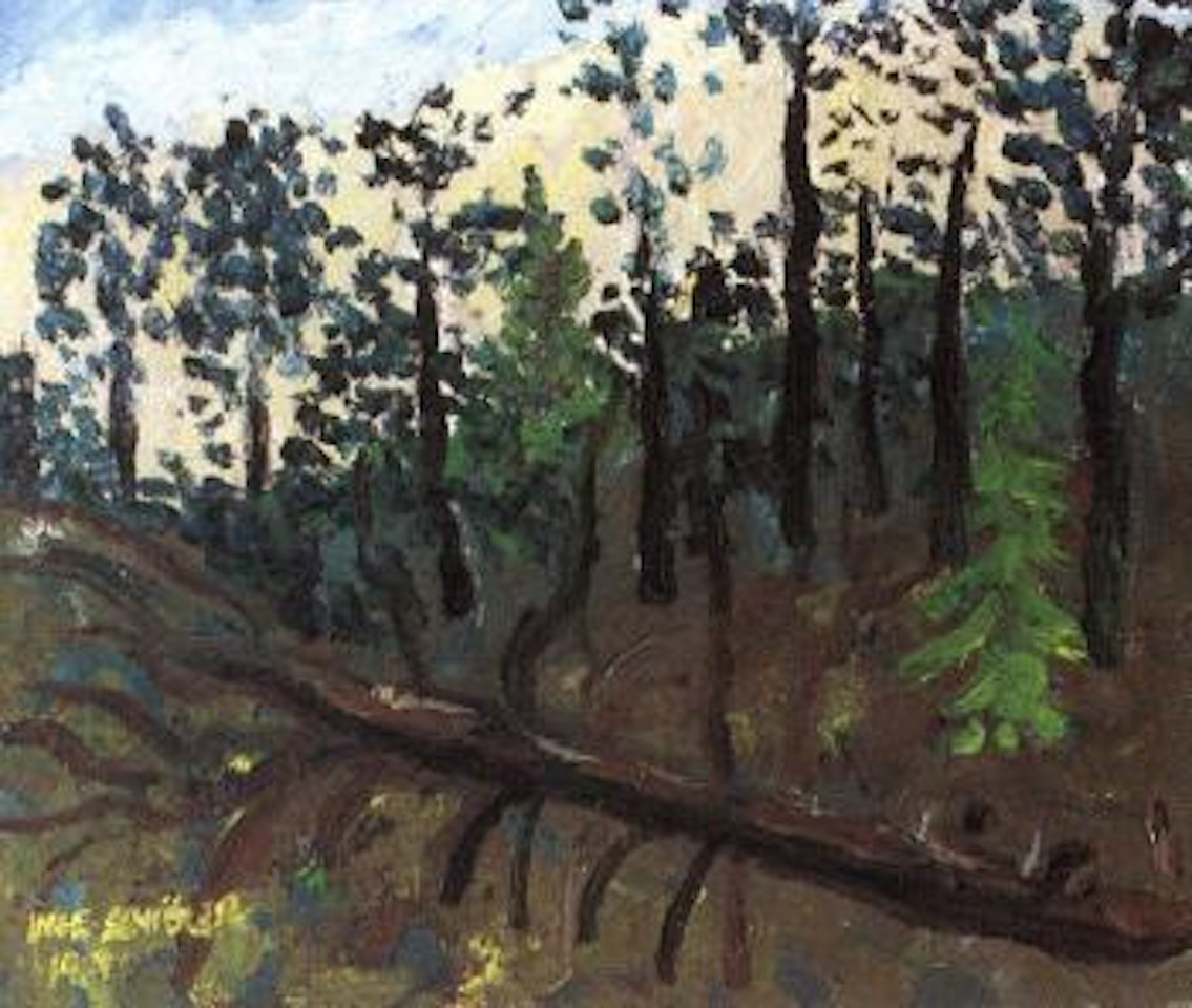 Pine trees from Hallekinds-mountains by Inge Schiöler