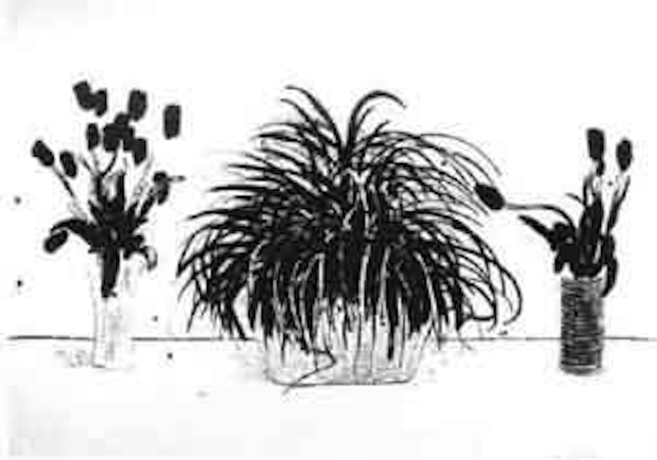 Two vases of cut flowers and a liriope plant by David Hockney