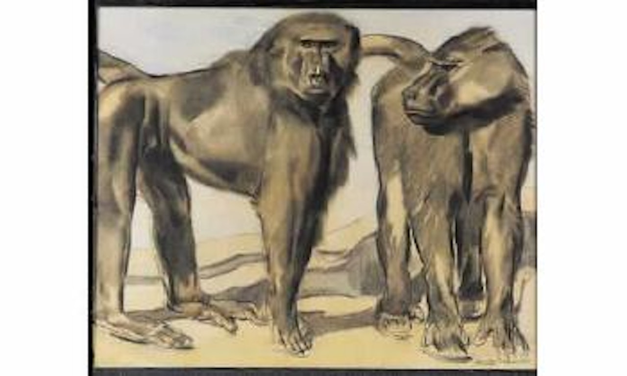 Babouins by Paul Jouve