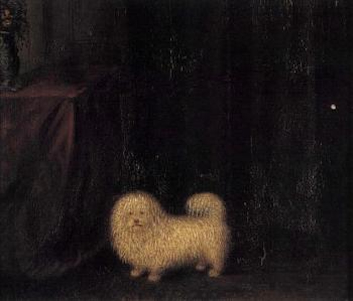 Pomeranian by table by English School
