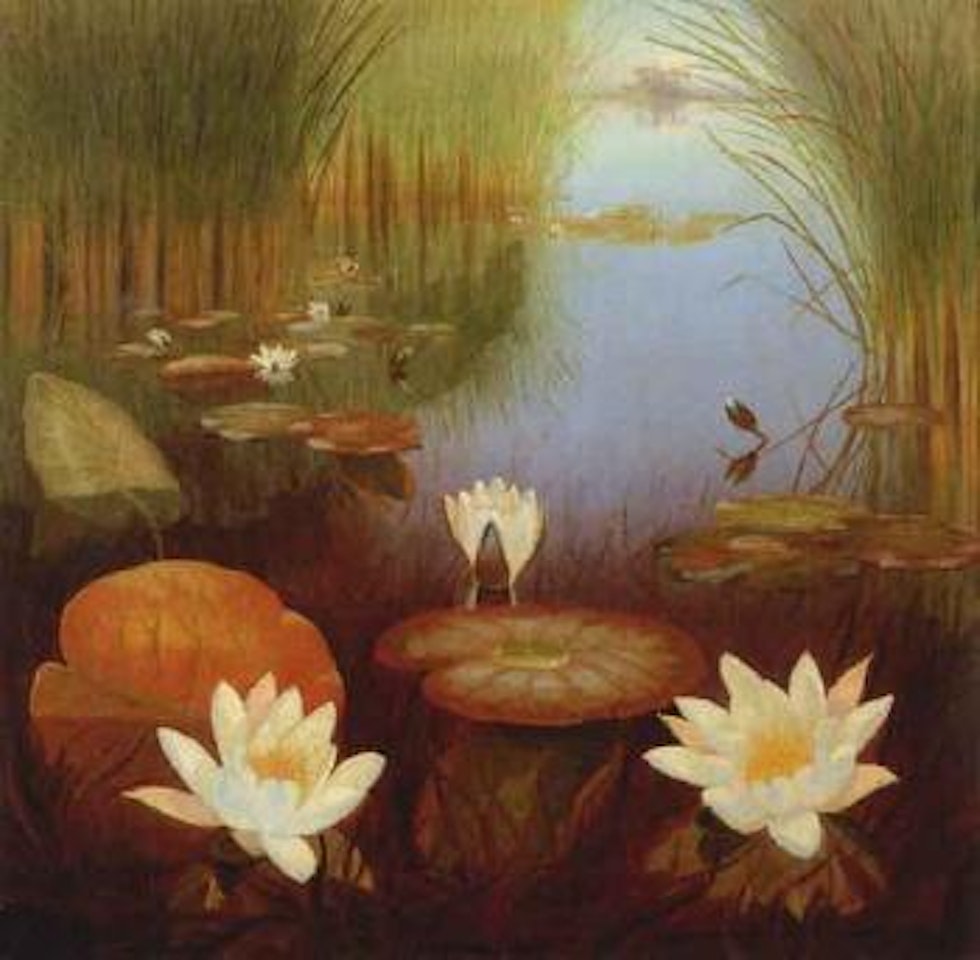 Waterlilies in the reeds by Dirk Smoorenberg