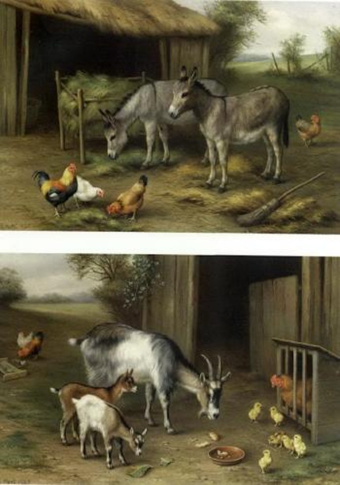Donkeys and poultry. Goats and poultry by Edgar Hunt