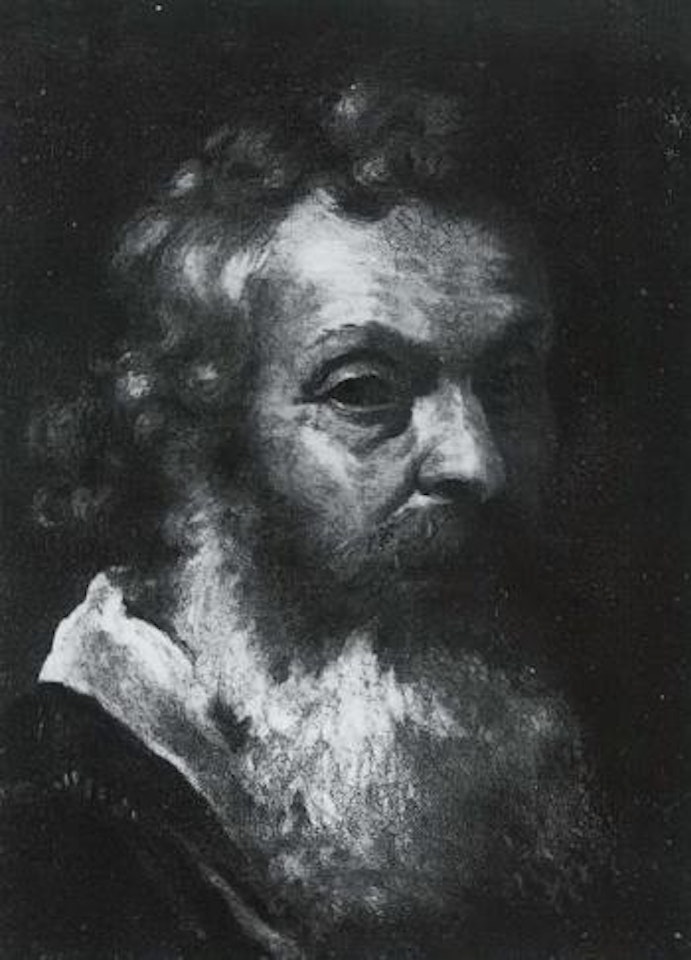 Head of elderly man by Roman School