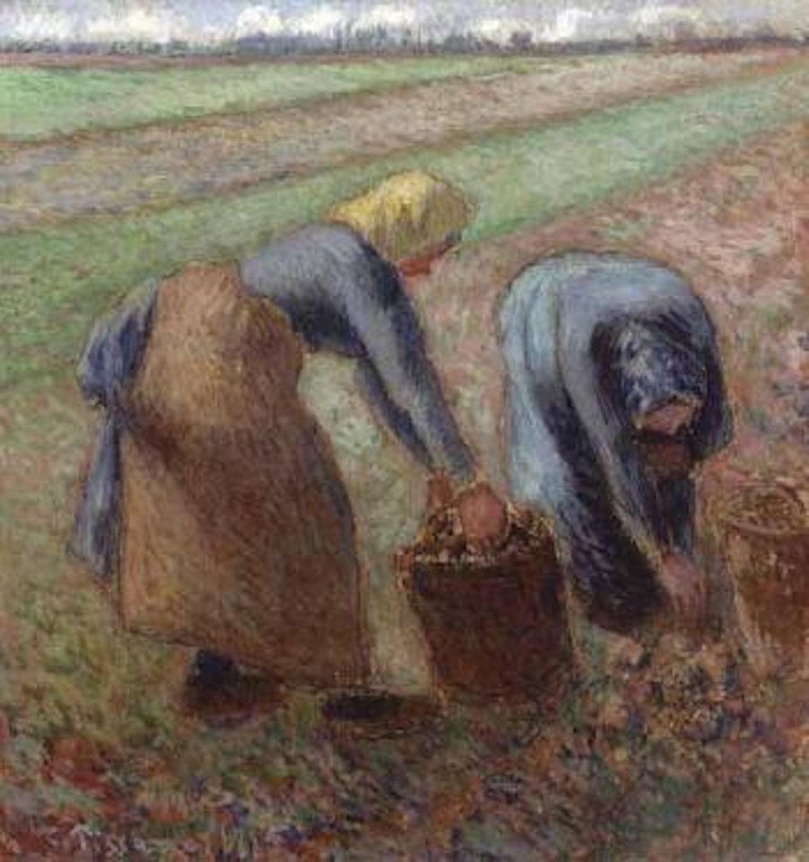 La recolte des pommes de terre by Camille Pissarro