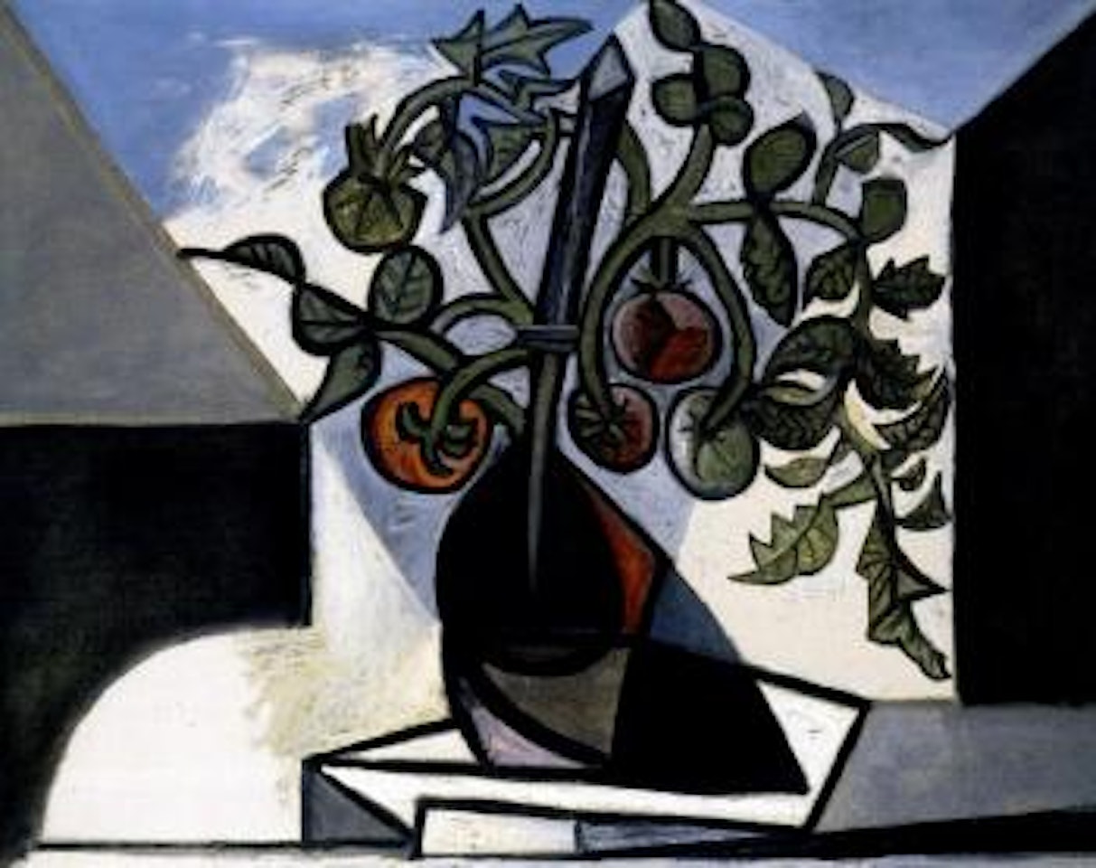 Plante de tomate by Pablo Picasso