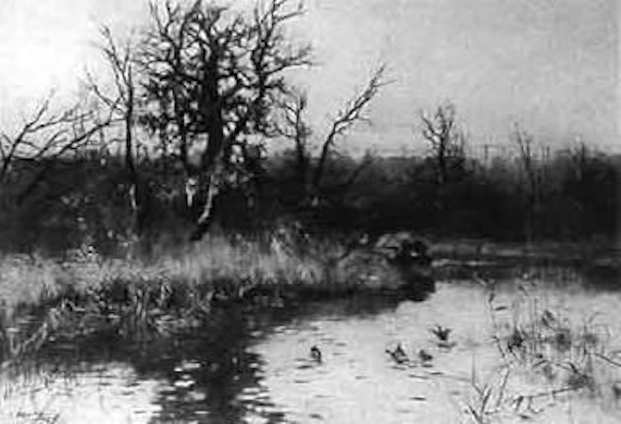 Evening lake landscape with ducks by Josef Schmitzberger