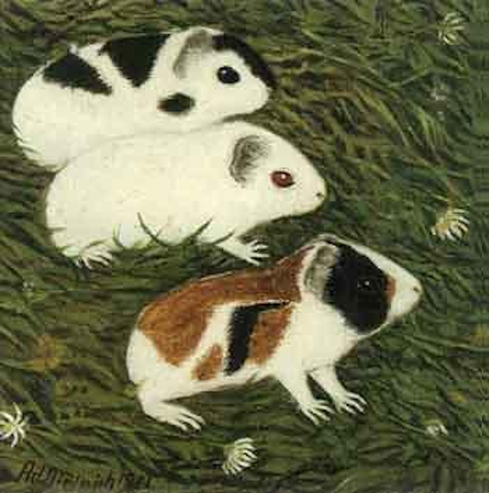 Three guinea pigs by Adolf Dietrich