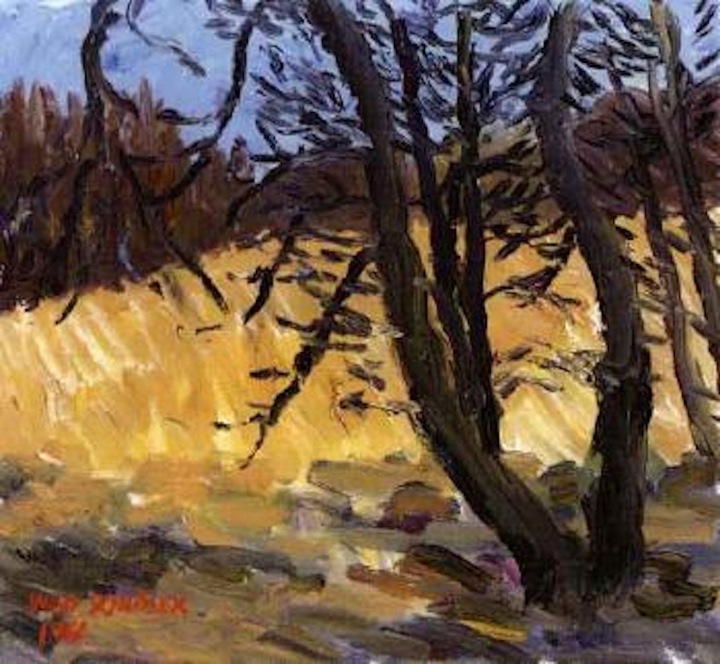 Autumn, Koster by Inge Schiöler