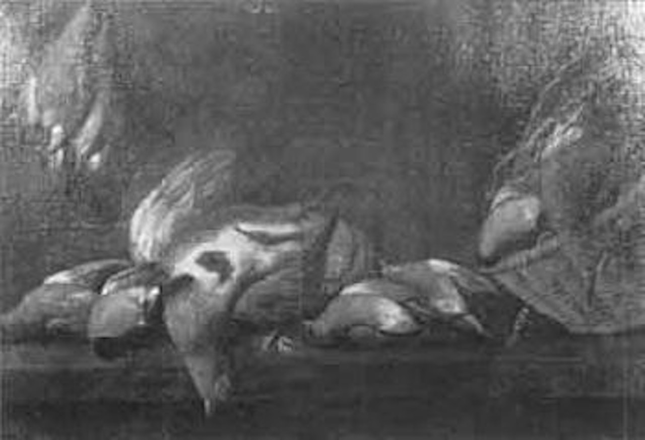 Still life with pheasant and pigeons by Jan Weenix