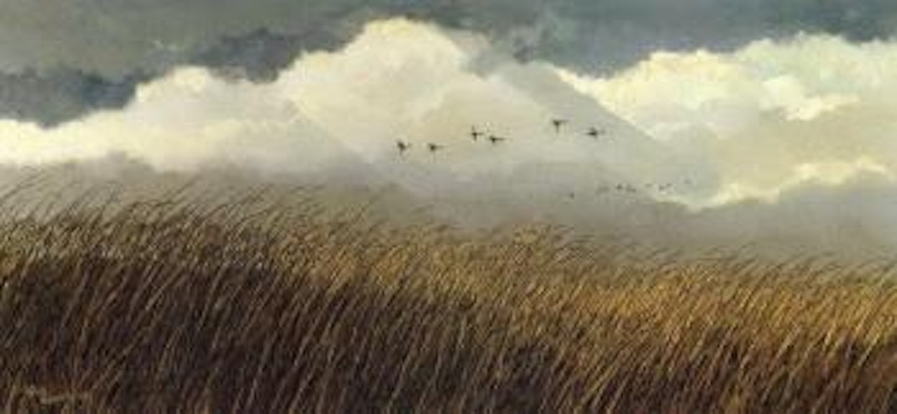 Autumn flight by Eric Sloane