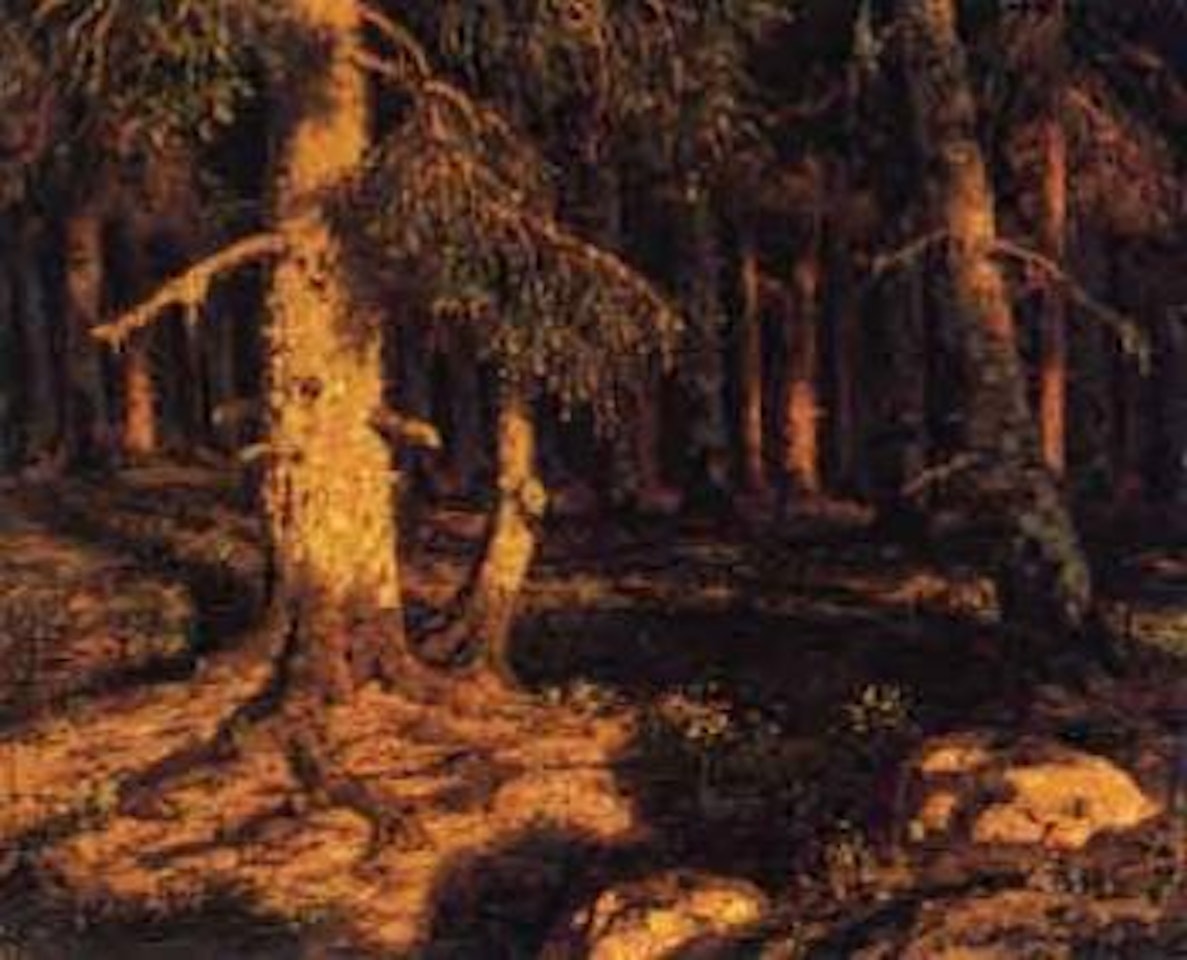 Sunlit woodland by Ivan Fedorovich Choultse