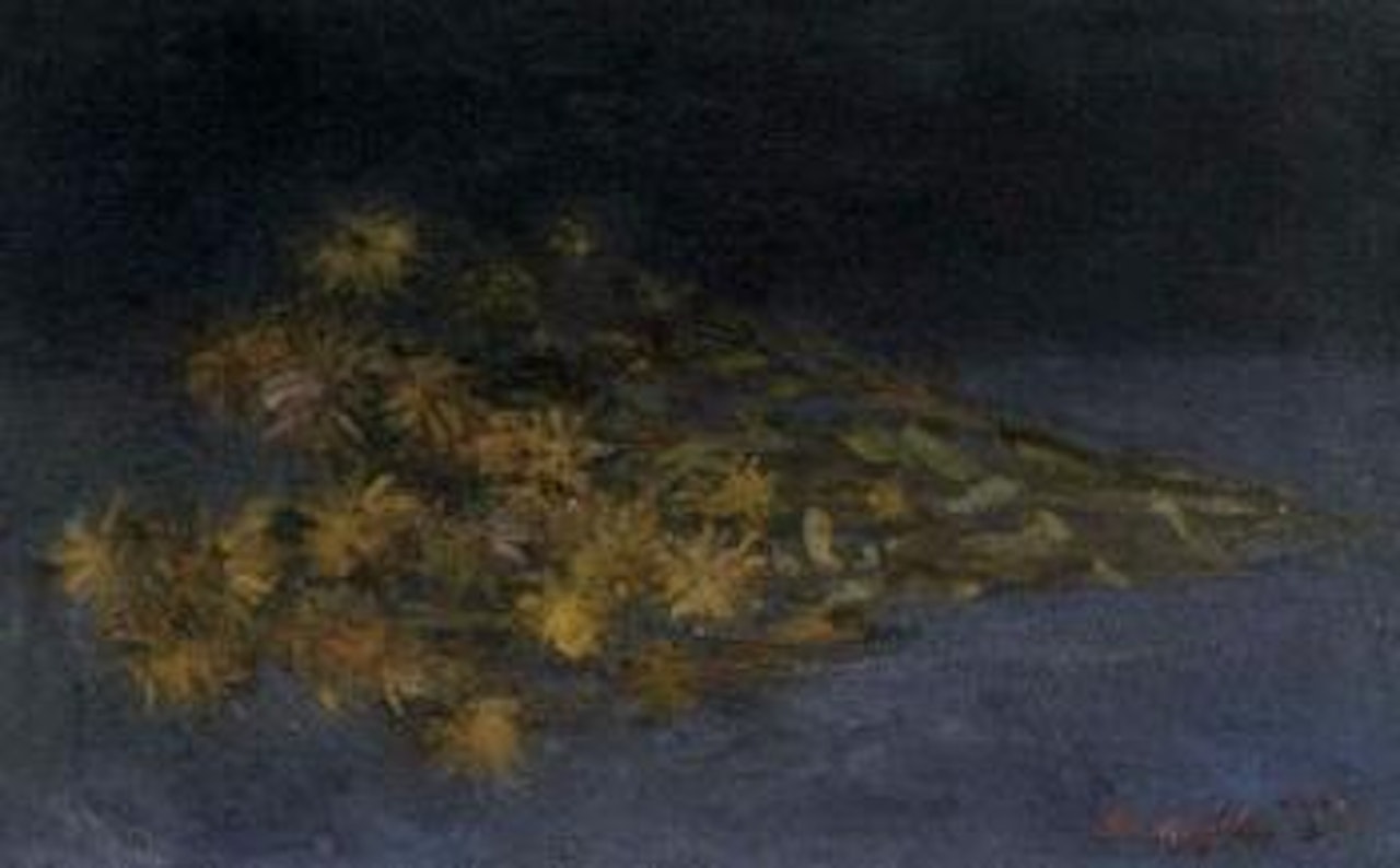 Fiori secchi sdraiati by Mario Mafai