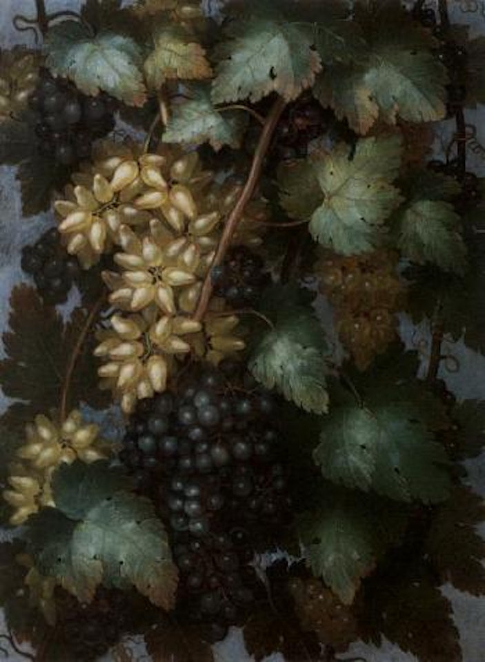 Still life of red and white grapes by Italian School