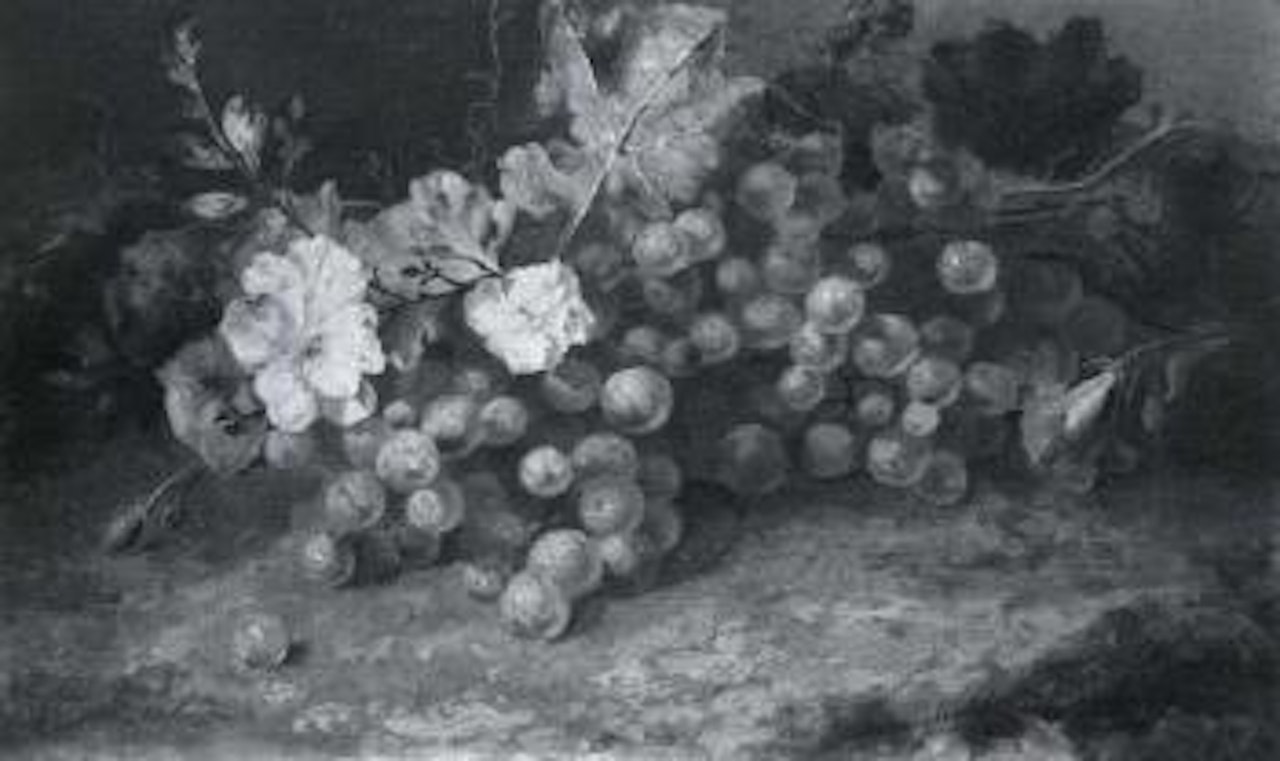 Still life with grapes and pink blooms by Margaretha Roosenboom