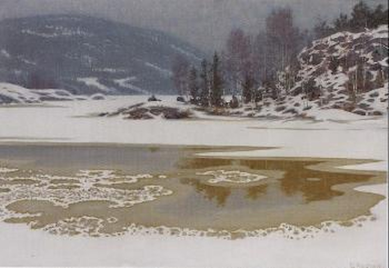 Mild weather - winter landscape with watercourse by Gustaf Fjaestad