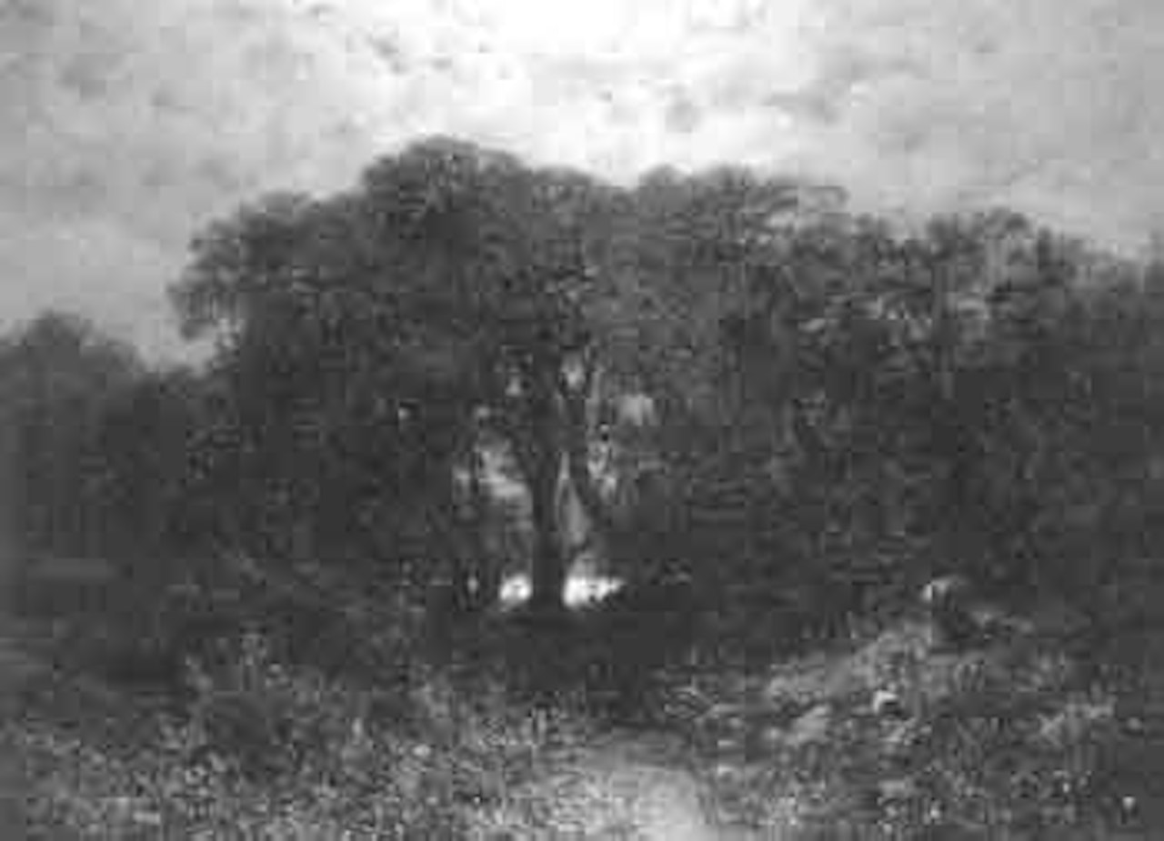 Night time country landscape with oak trees by Henri Harpignies